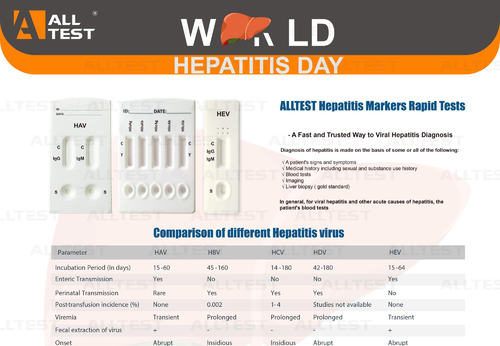Latest company news about Hari Hepatitis Sedunia