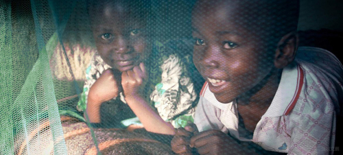 Latest company news about WHO Merekomendasikan Penggunaan Kelambu Berobat Piretroid untuk Pencegahan Malaria