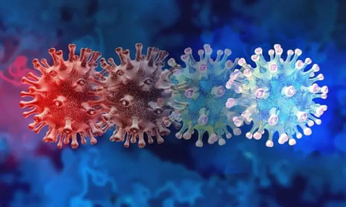 Berita perusahaan terbaru tentang Catatan tentang deteksi strain varian Novel Coronavirus oleh ALLTEST BIOTECH