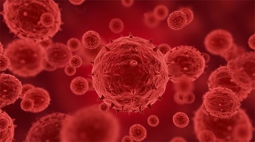 Latest company news about Lebih dari 100 kasus yang dikonfirmasi atau diduga monkeypox telah dilaporkan di 12 negara, termasuk AS