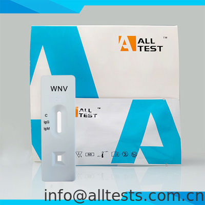 Harga bagus West Nile Virus IgG / IgM Rapid Test Hasil cepat on line