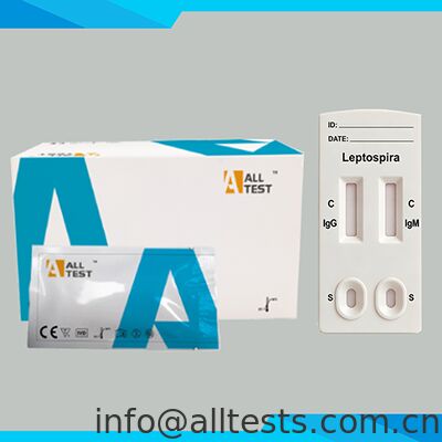 Harga bagus Leptospira IgG/IgM Combo Rapid Test dengan Waktu Membaca 15 Menit Sertifikasi CE untuk Sampel Darah Seluruh/Serum/Plasma on line