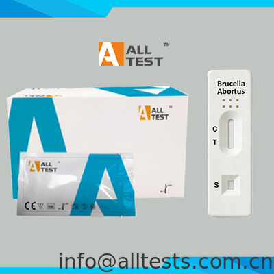 Harga bagus Tes cepat antibodi Brucella Abortus dengan waktu membaca 10 menit, bersertifikat CE untuk akurasi tinggi dalam darah utuh/serum/plasma on line