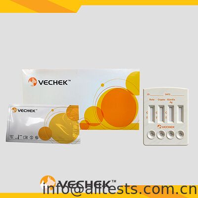 Harga bagus Rotavirus Cryptosporidia Giardia Lamblia Antigen Combo Rapid Test Cassette untuk tinja dengan Waktu Membaca 10 Menit Keakuratan Tinggi on line