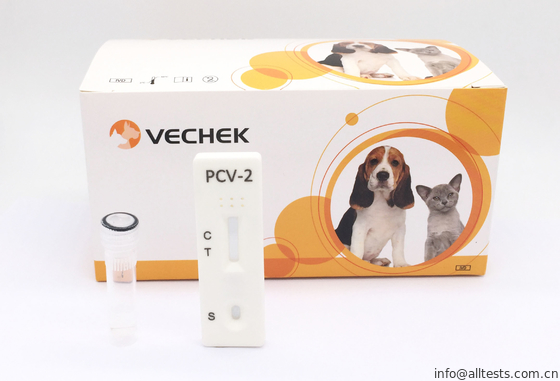 Good price Satu Orcine Circovirus Tipe -2 Antibody Rapid Test Cassette Kit Pengujian Rumah on line