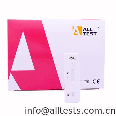 Harga bagus Neutrophil-related lipocalin (NGAL) Kaset Tes Cepat One Step Rapid Test on line