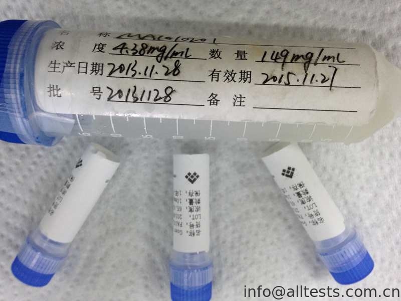 Sheep Anti - HBsAg Polyclonal Antibody Infectious Disease For IVD Research