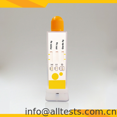 Good price FCoV FPV Giardia Lamblia Antigen Combo Rapid Test Kits Tinja Piala Diagnostik Veteriner on line