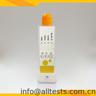Good price Rotavirus Cryptosporidia Coronavirus E. Coli Antigen Combo Rapid Test Sampel tinja on line