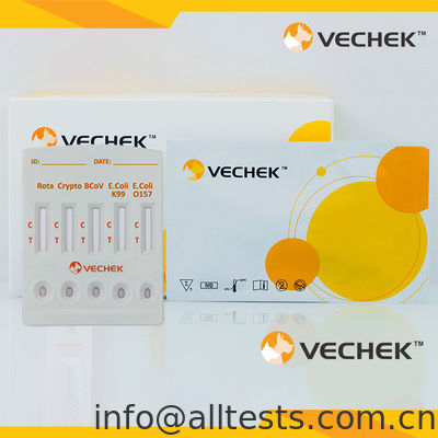 Harga bagus Rotavirus+Cryptosporidia+Coronavirus+E. Coli K99 +E. Coli O157 Antigen Combo Rapid Test Cassette (Feces) on line