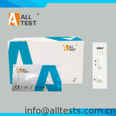 Harga bagus IBOV-502 -- Human Bocavirus Antigen Rapid Test ((swab nasofaring atau swab hidung) on line
