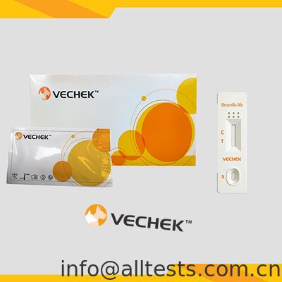 Harga bagus Camel Brucella Antibodi Rapid Test Cassette untuk Hasil Cepat Keakuratan Tinggi Operasi Sederhana on line