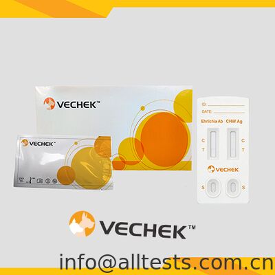 Harga bagus Canis Ehrlichia Antibodi + CHW Antigen Combo Rapid Test Cassette Hasil cepat Keakuratan tinggi Operasi sederhana on line