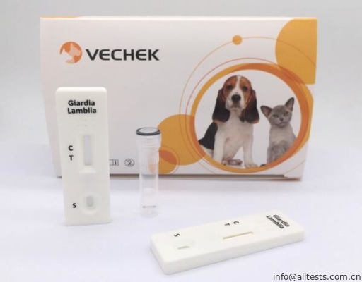 Good price Kaset Kit Diagnostik Cepat Canine Giardia Lamblia, Sederhana dan Cepat on line
