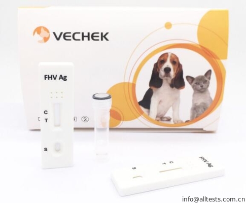 Good price Rapid Test Kit Cepat Feline FHV Antigen Rapid Test Dengan Akurasi Tinggi on line